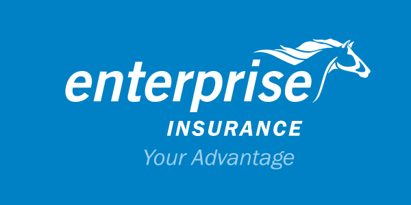 Enterprise insurance
